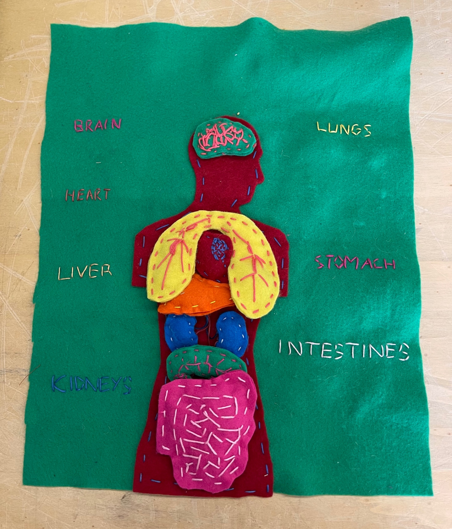 Hand-stitched felt anatomy activity with organs placed inside a figure