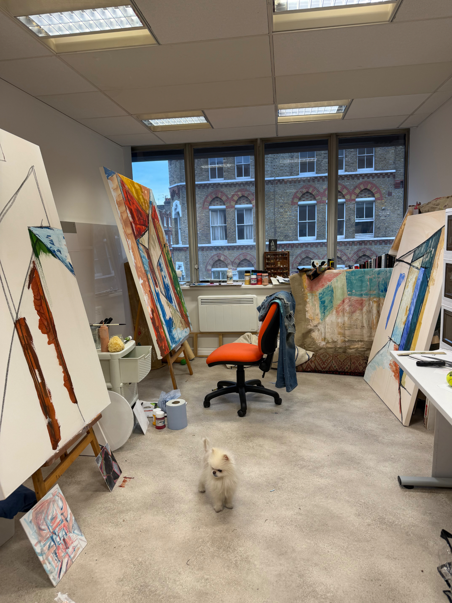 Maxi at home in the studio